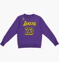 Свитшот мужской Air Jordan Nba Los Angeles Lakers Courtside Statement Edition Violet DN4718-508