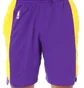 Шорти чоловічі Nike Lal Mnk Df Short Pract 18 Violet/Yellow Aj5077-504