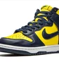 Кросівки чоловічі Nike Dunk High Sp Black/Yellow CZ8149-700