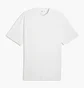 Футболка чоловіча Puma Select Essentials White 636463-02