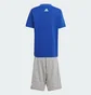 Спортивный костюм детский Adidas Essentials Logo Blue/Grey IS2470