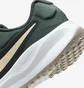 Кросівки жіночі Nike W Revolution 7 Green FB2208-300