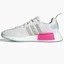 Кроссовки женские Adidas Nmd_R1 Shoes Grey GZ9282