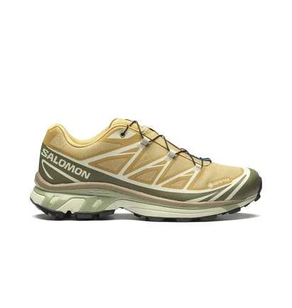 Кроссовки мужские Salomon Xt-6 Antelope/Icicle/Portabella Beige L47581000
