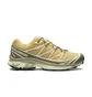 Кроссовки мужские Salomon Xt-6 Antelope/Icicle/Portabella Beige L47581000