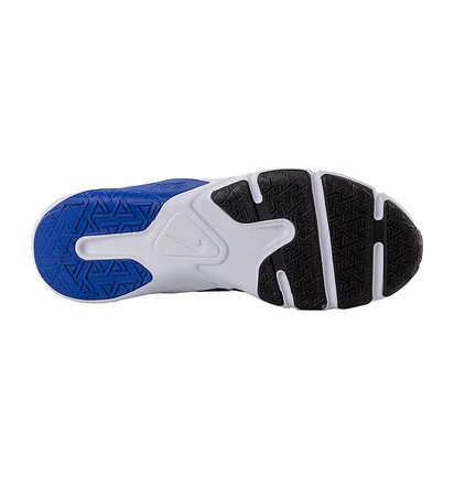 Кроссовки мужские Nike Legend Essential 2 Blue CQ9356-400