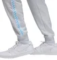 Штаны мужские Air Jordan Flt Mvp Hbr Flc White FN6356-043