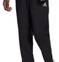 Штани чоловічі Adidas Pants Entrada 22 Presentation Black H57533