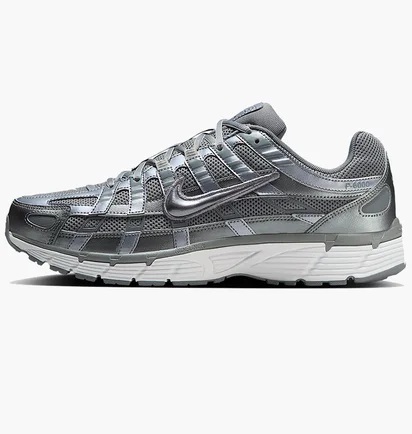 Кросівки чоловічі Nike P-6000 Metallic CD6404-023