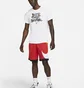 Шорти чоловічі Nike Mens Basketball Shorts Red Dh6763-657