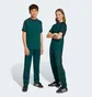 Штани дитячі Adidas Adicolor Firebird Green JV8593
