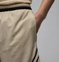 Шорти чоловічі Air Jordan Sport MenS Dri- F I T Mesh Diamond Shorts Beige HF9910-206