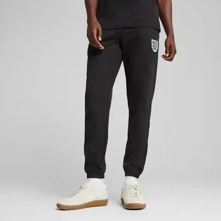 Штани чоловічі Puma Sports Legacy Graphic Black 629631-01