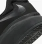 Кросівки чоловічі Nike Sb Ishod Wair Premium Black Dz5648-001