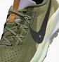Кроссовки мужские Nike Pegasus Trail 5 Trail Running Shoes Olive DV3864-200
