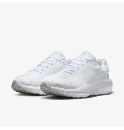 Кросівки жіночі Nike Air Winflo 11 White FJ9510-100