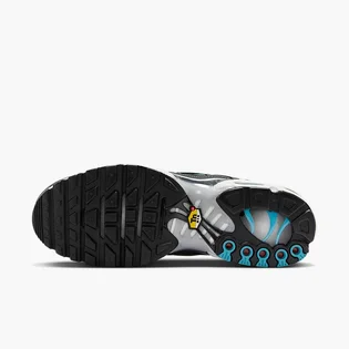 Кросівки чоловічі Nike Air Max Tn Metallic HV2525-001