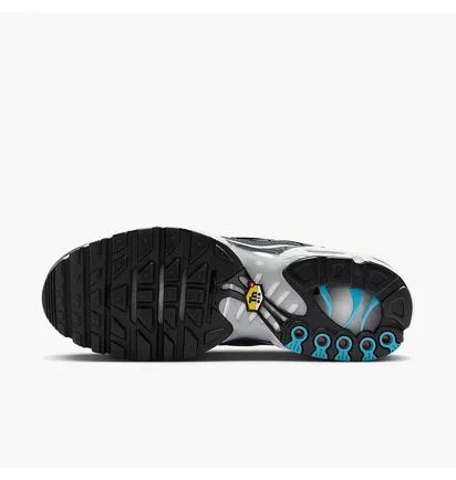 Кроссовки мужские Nike Air Max Tn Metallic HV2525-001