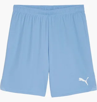 Шорты мужские Puma Teamgoal Wit Light Blue 705752-18