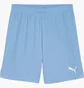 Шорты мужские Puma Teamgoal Wit Light Blue 705752-18