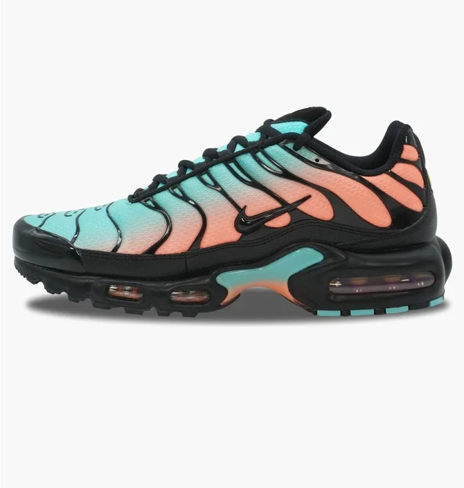 Кроссовки мужские Nike Air Max Plus MenS Shoes Black/Multi DM0032-022
