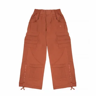 Штаны женские Air Jordan Heavyweight Chicago Pants Brown FD7215-209