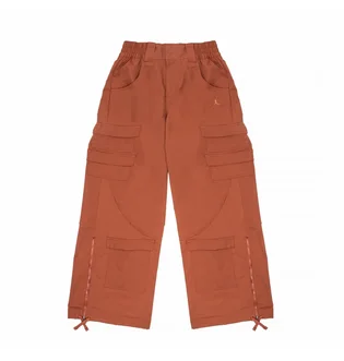 Штаны женские Air Jordan Heavyweight Chicago Pants Brown FD7215-209