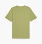 Футболка мужская Puma Classics Small Logo Tee Olive 679187-40