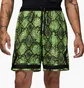 Шорты мужские Air Jordan Dri-Fit Mesh Diamond Green HF9907-358