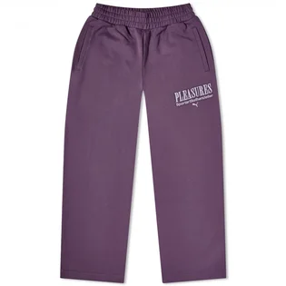 Штаны мужские Puma X Pleasures Sweatpants Violet 620882-74