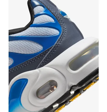 Кросівки дитячі Nike Air Max Plus Grey/Blue CD0609-409