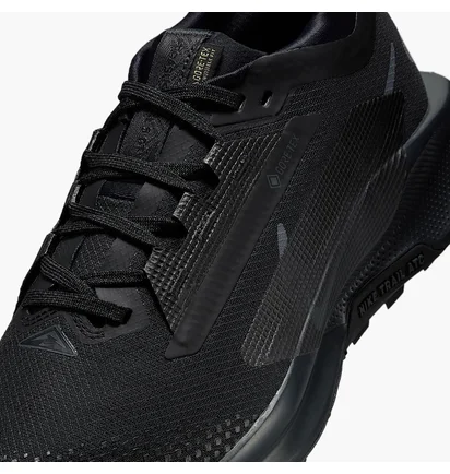 Кросівки унісекс Nike Pegasus Trail 5 Gore-Tex Black FQ0912-002