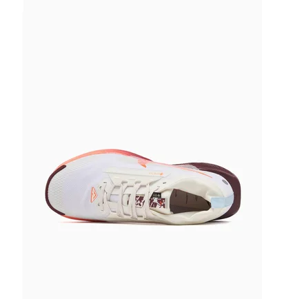 Кроссовки мужские Nike Pegasus Trail 5 Gtx White FQ0908-104