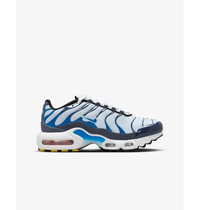 Кросівки дитячі Nike Air Max Plus Grey/Blue CD0609-409