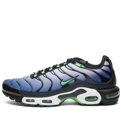 Кроссовки мужские Nike Air Max Plus Blue/Black DX4326-001