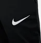 Штани чоловічі Nike Dri-Fit Academy Pro Black Dh9240-011