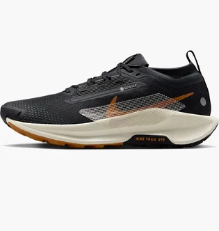 Кроссовки мужские Nike Pegasus Trail 5 Gore-Tex Black FQ0908-007