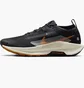 Кроссовки мужские Nike Pegasus Trail 5 Gore-Tex Black FQ0908-007