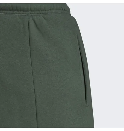 Штаны мужские Adidas Fl Recbos Pt1 Green Hm7892