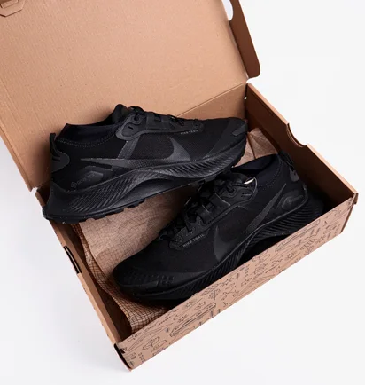 Кроссовки мужские Nike Pegasus Trail 3 Gtx Black DC8793-001