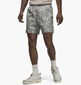 Шорты мужские Air Jordan M J Ess Poolside Aop Short Grey FN4635-133