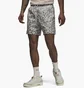 Шорти чоловічі Air Jordan M J Ess Poolside Aop Short Grey FN4635-133