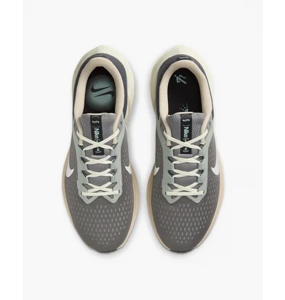 Кросівки чоловічі Nike Air Winflo 10 Brown FN7499-029