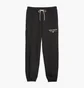Штаны мужские Puma Team Black 621328-01