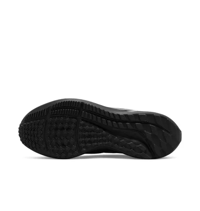 Кросівки жіночі Nike Air Zoom Pegasus 39 Black Dh4072-002