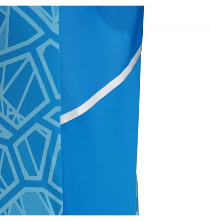Футболка чоловіча Adidas Jersey Con22Gk Jsy P Light Blue HB1623