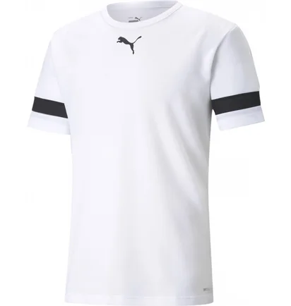 Футболка мужская Puma Teamrise Jersey White 704932-04