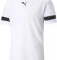 Футболка мужская Puma Teamrise Jersey White 704932-04