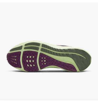 Кроссовки женские Nike Air Zoom Pegasus 39 Beige DH4072-101