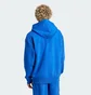 Худи мужское Adidas All Szn Fleece Graphic Sportswear Blue JJ3667